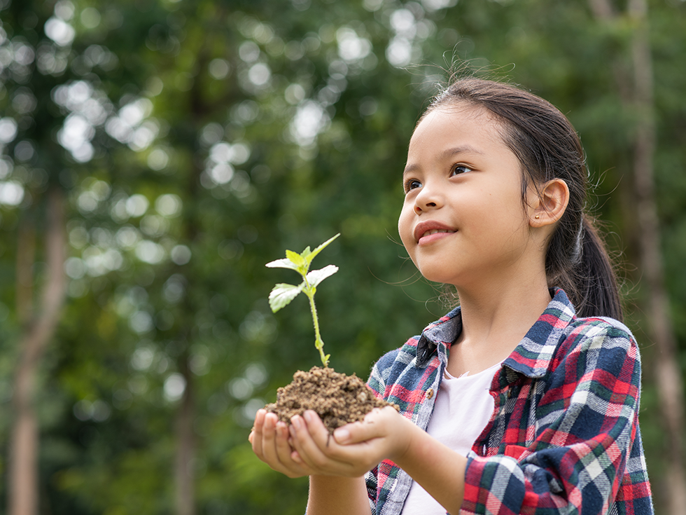 environment-sustainablility